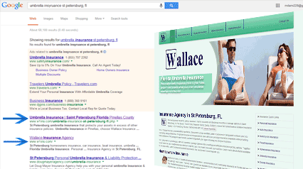 professional website with seo