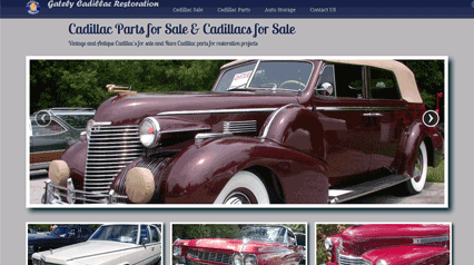 professional website development