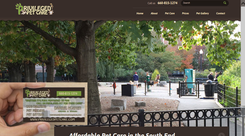 pet care dog walking websites deign seo boston, ma